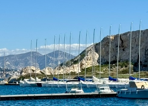 Grand Surprise boats moored in the Frioul marina